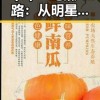 十年“吃瓜”路：从明星幼苗到蜕变的华丽转身