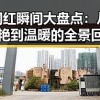 网红瞬间大盘点：从惊艳到温暖的全景回顾