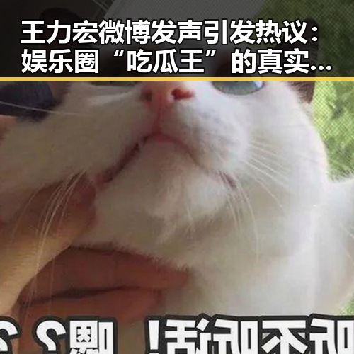 王力宏微博发声引发热议：娱乐圈“吃瓜王”的真实面貌
