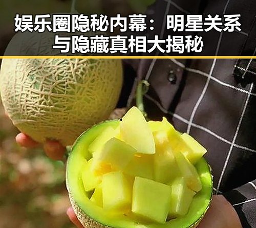 娱乐圈隐秘内幕：明星关系与隐藏真相大揭秘