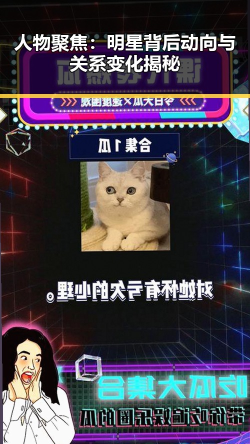 人物聚焦：明星背后动向与关系变化揭秘